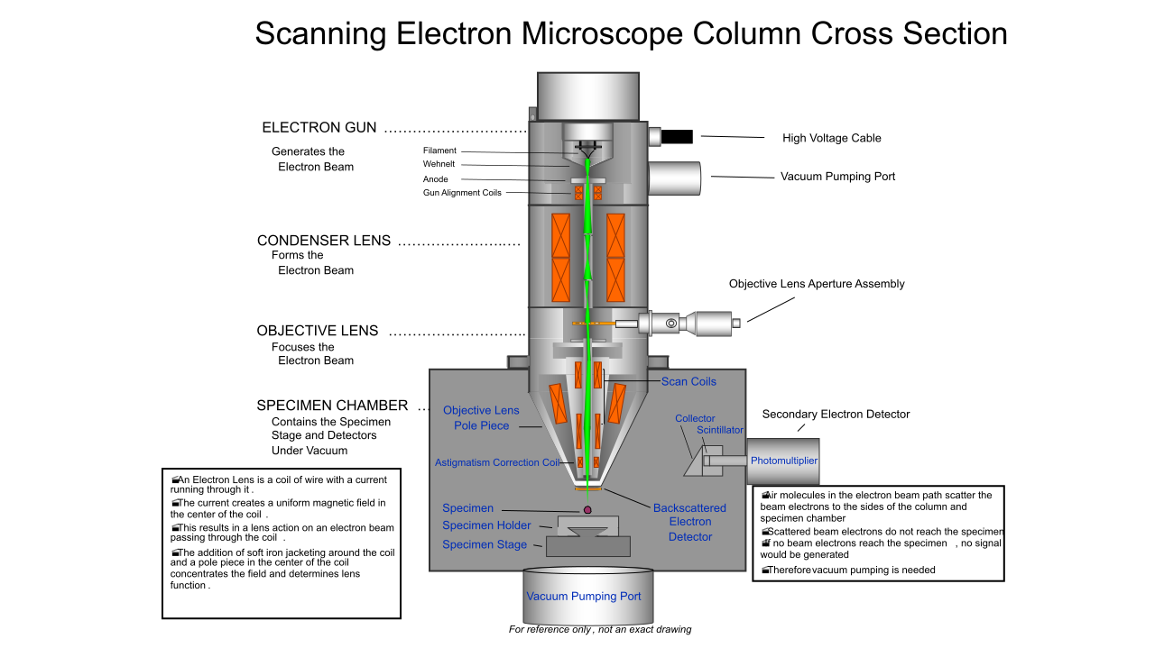 What Is Scanning Electron Microscopy?